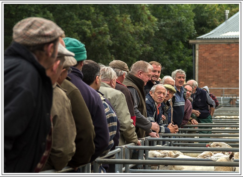 A day at the sale